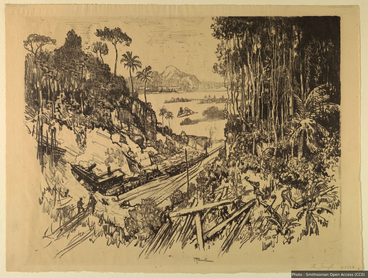 The Jungle: The Old Railroad from the New