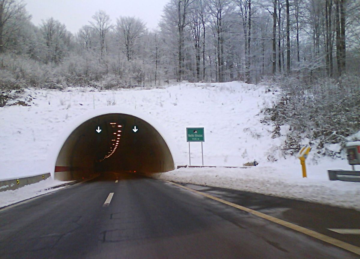 A6 18 Veliki Glozac 130109